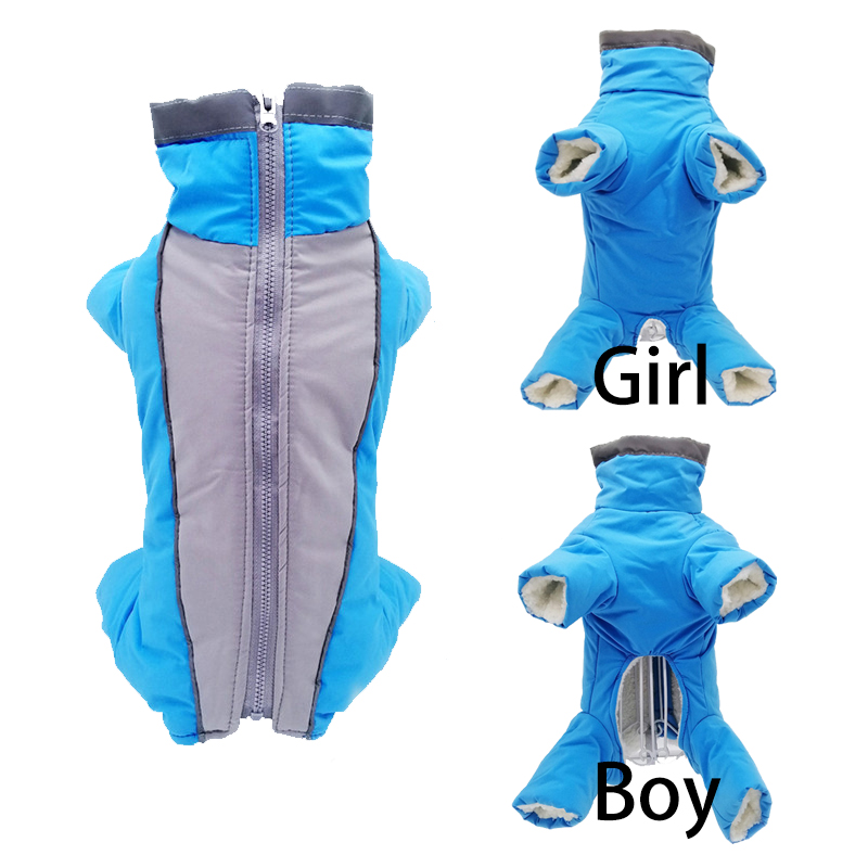 Winter Clothing In French - เสื้อผ้าสุนัขสำหรับสุนัขฤดูหนาว Super Warm เสื้อหนาเสื้อกันน้ำสุนัขขนาดเล็กเสื้อผ้าสัตว์เลี้ยงสำหรับลูกสุนัข Bulldog ฝรั่งเศส5.0