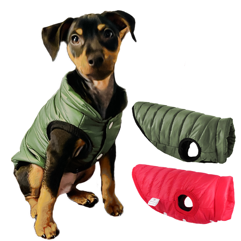 เสื้อกั๊กสุนัขแบบอุ่นสำหรับฤดู - Winter Clothing In French บทวิจารณ์และราคา