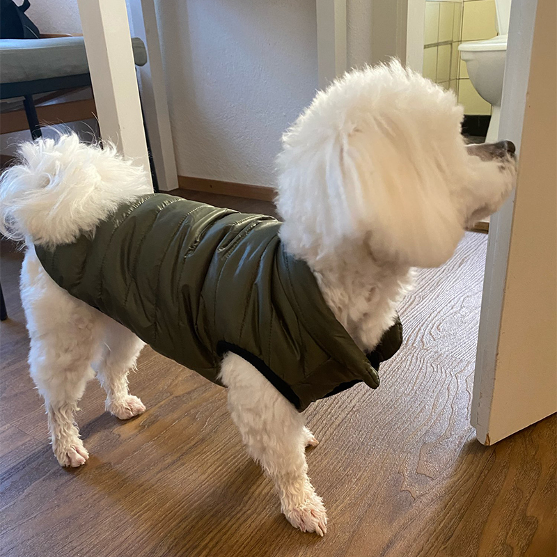 เสื้อกั๊กสุนัขแบบอุ่นสำหรับฤดู - Winter Clothing In French บทวิจารณ์และราคา
