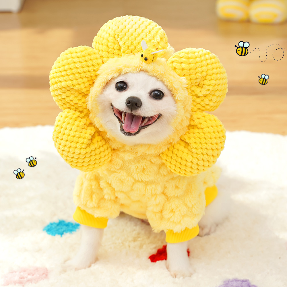ชุดแฟนซีสัตว์เลี้ยงสำหรับฤดูหน - Winter Clothing In French บทวิจารณ์และราคา