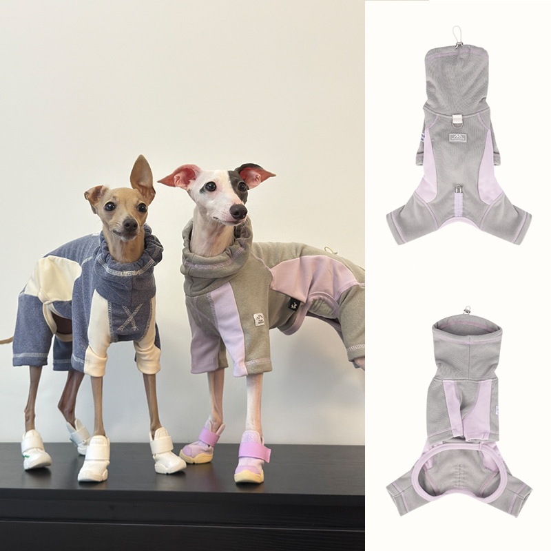 เสื้อผ้าสุนัขสำหรับฤดูใบไม้ร่ว - Winter Clothing Leg Warmers บทวิจารณ์และราคา