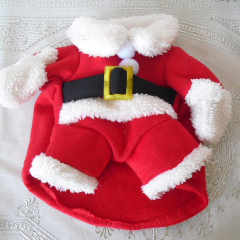 เสื้อโค้ทสำหรับสัตว์เลี้ยงในฤด - Winter Clothing In French บทวิจารณ์และราคา