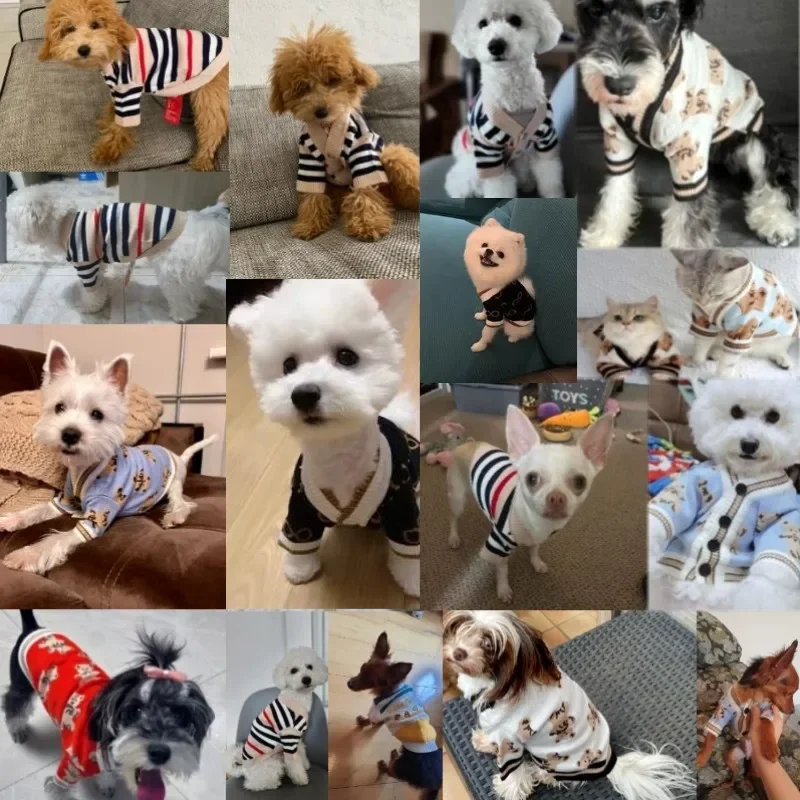 หรูหราสุนัขขนาดเล็กฤดูหนาวเสื้ - Winter Clothing In French บทวิจารณ์และราคา